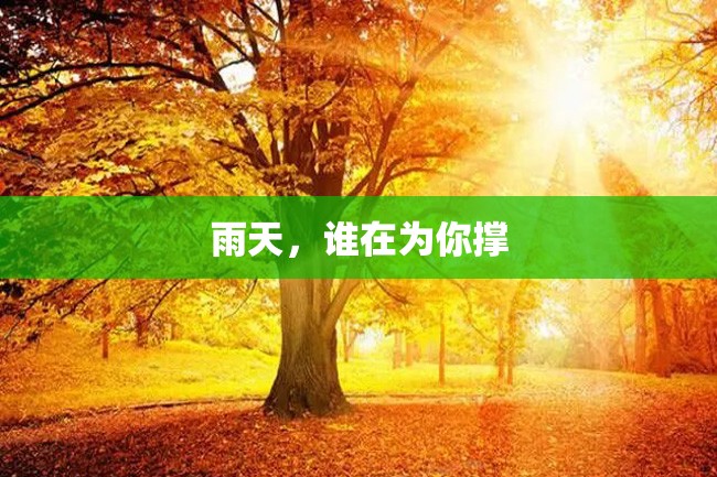 雨天,谁在为你撑