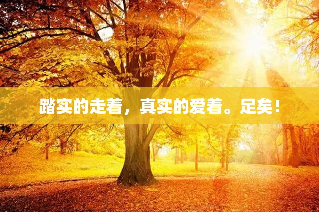 踏实的走着,真实的爱着。足矣!
