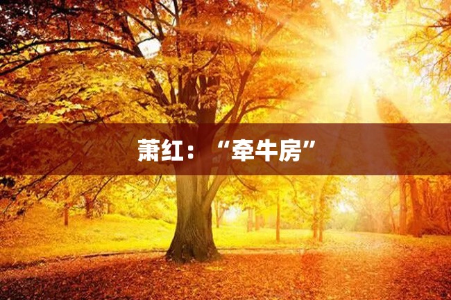 萧红:“牵牛房”