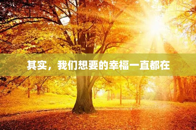 其实,我们想要的幸福一直都在