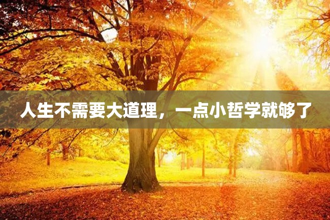 人生不需要大道理,一点小哲学就够了