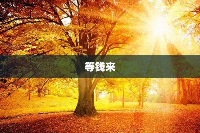 等钱来