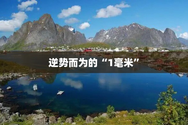 逆势而为的“1毫米”