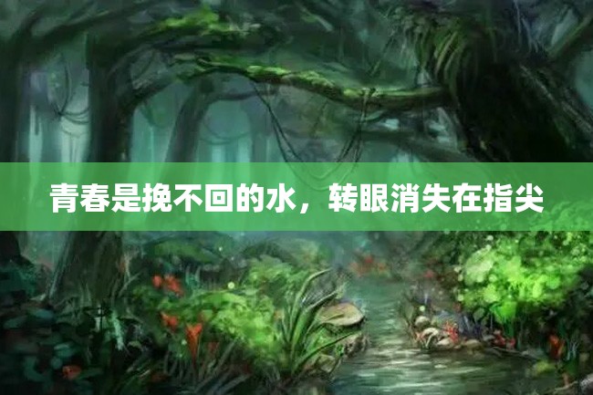 青春是挽不回的水,转眼消失在指尖