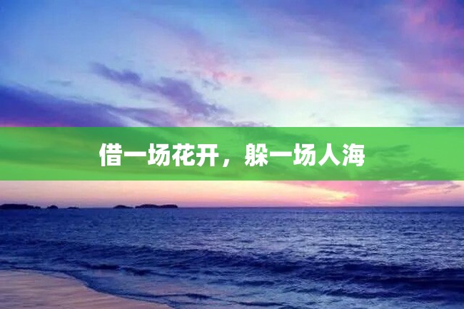 借一场花开,躲一场人海