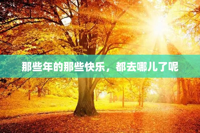 那些年的那些快乐,都去哪儿了呢