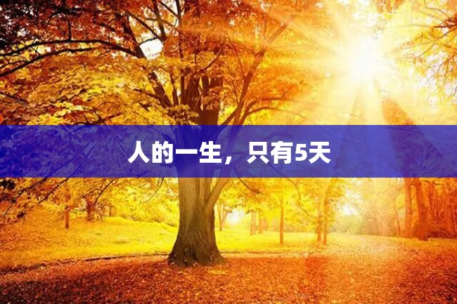 人的一生,只有5天