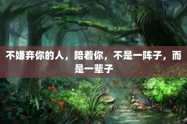 不嫌弃你的人,陪着你,不是一阵子,而是一辈子