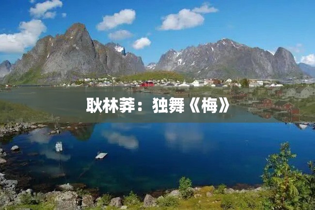耿林莽:独舞《梅》