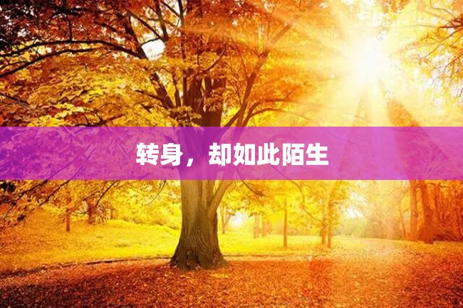 转身,却如此陌生