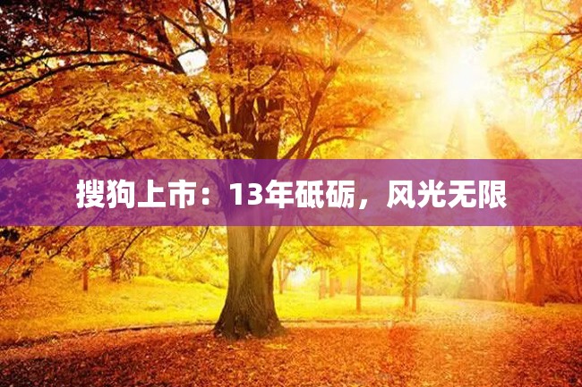 搜狗上市:13年砥砺,风光无限