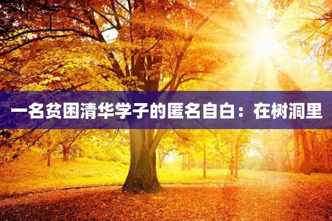 一名贫困清华学子的匿名自白:在树洞里