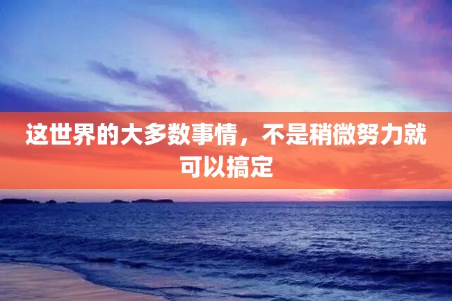 这世界的大多数事情,不是稍微努力就可以搞定