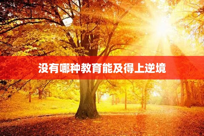没有哪种教育能及得上逆境