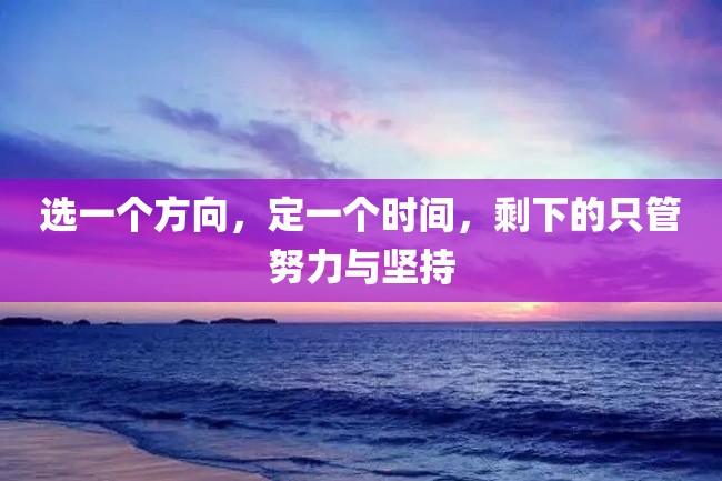 选一个方向,定一个时间,剩下的只管努力与坚持