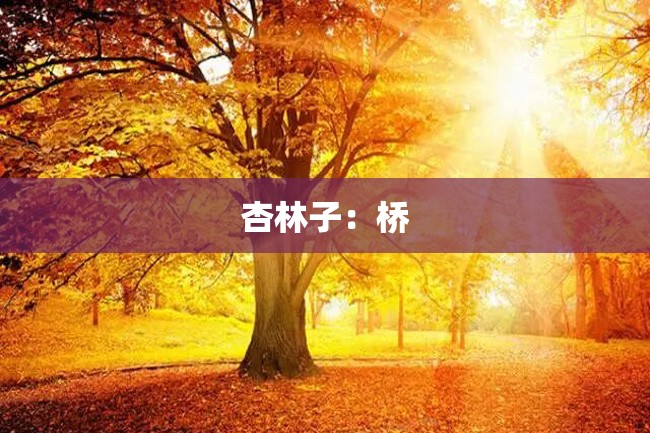 杏林子:桥