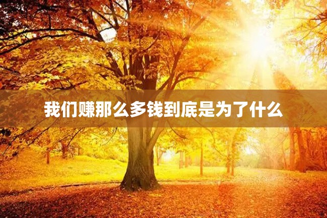 我们赚那么多钱到底是为了什么