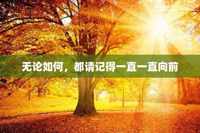 无论如何,都请记得一直一直向前