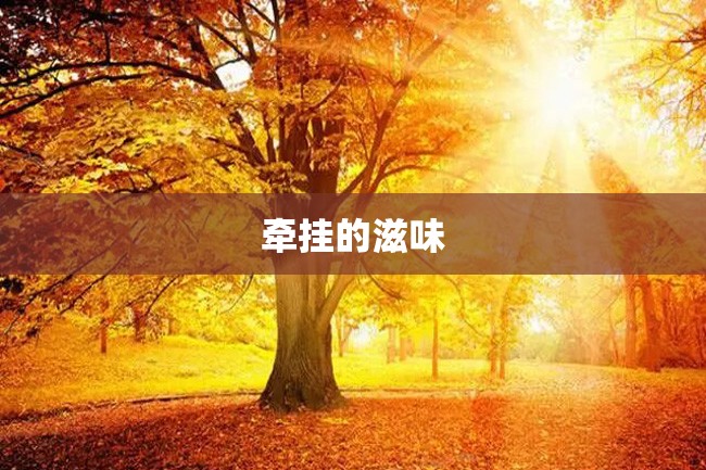 牵挂的滋味
