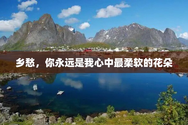 乡愁,你永远是我心中最柔软的花朵