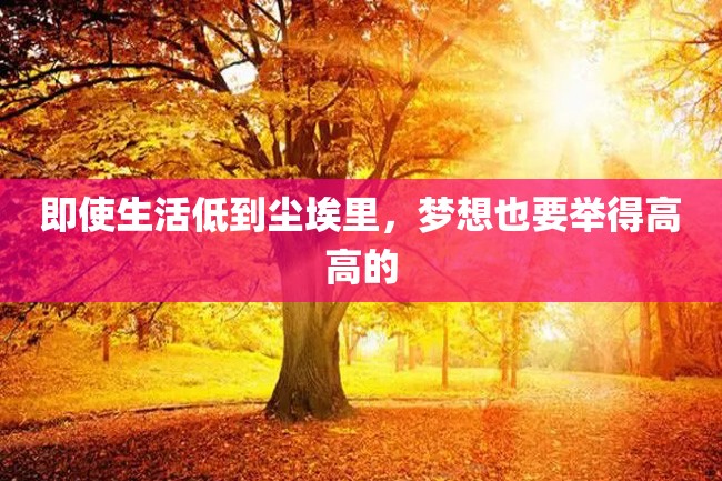 即使生活低到尘埃里,梦想也要举得高高的