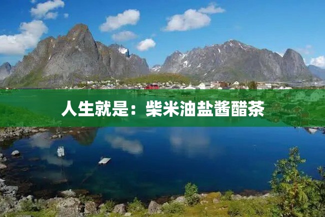 人生就是:柴米油盐酱醋茶