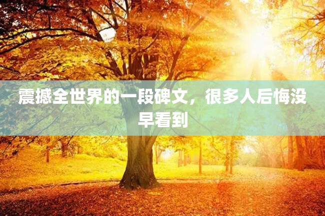 震撼全世界的一段碑文,很多人后悔没早看到