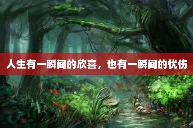人生有一瞬间的欣喜,也有一瞬间的忧伤