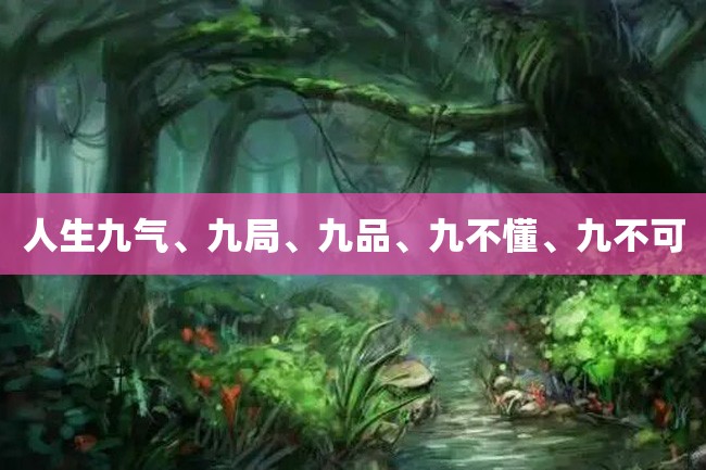 人生九气、九局、九品、九不懂、九不可