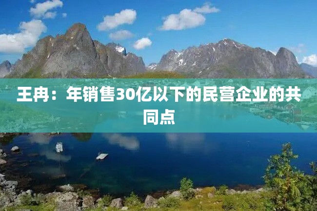 王冉:年销售30亿以下的民营企业的共同点