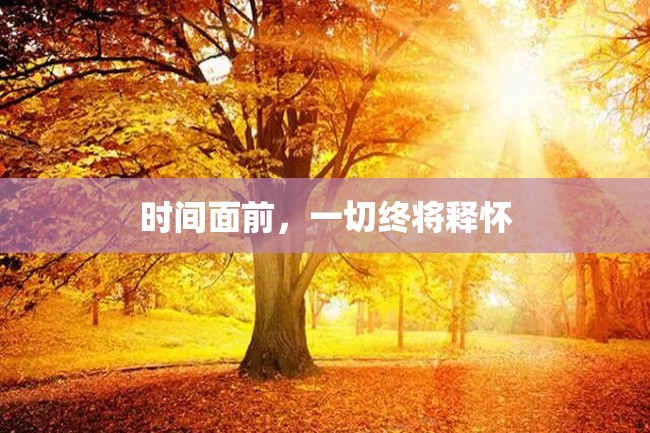 时间面前,一切终将释怀