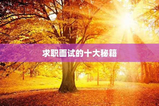 求职面试的十大秘籍