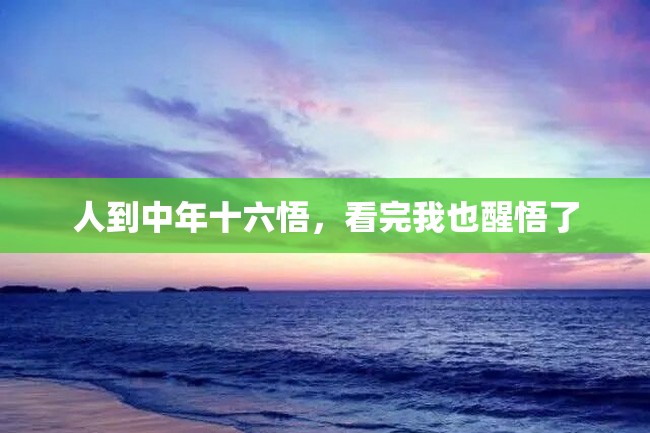 人到中年十六悟,看完我也醒悟了