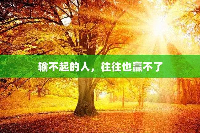 输不起的人,往往也赢不了