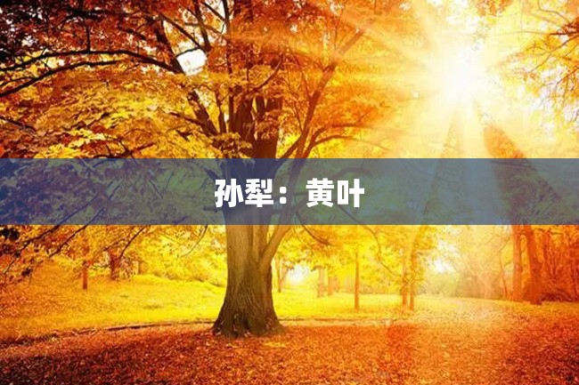 孙犁:黄叶