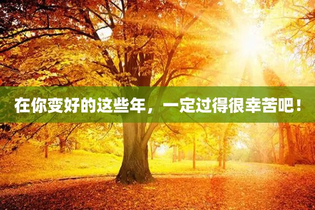 在你变好的这些年,一定过得很幸苦吧!