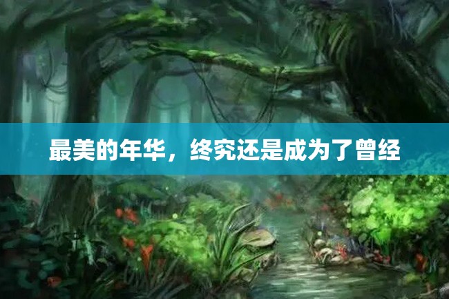 最美的年华，终究还是成为了曾经
