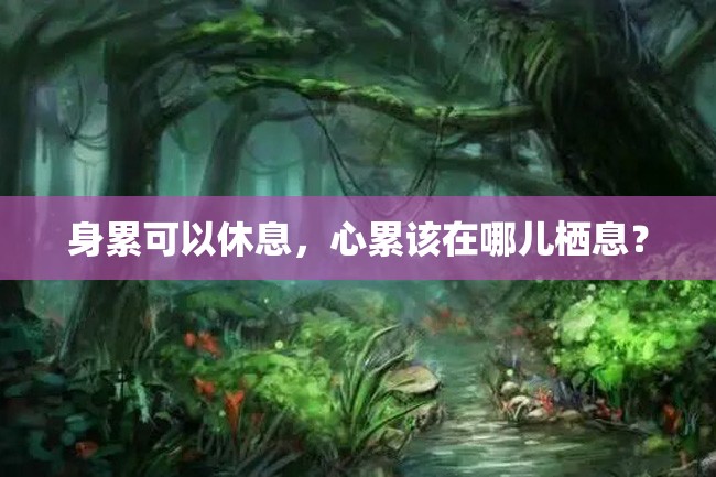 身累可以休息,心累该在哪儿栖息?