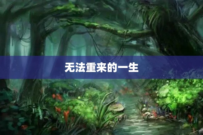 无法重来的一生
