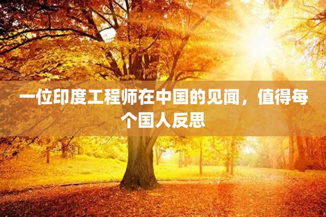 一位印度工程师在中国的见闻,值得每个国人反思