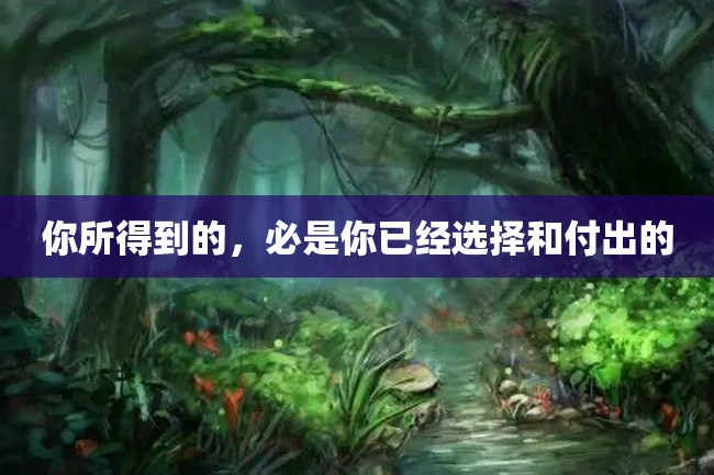 你所得到的,必是你已经选择和付出的