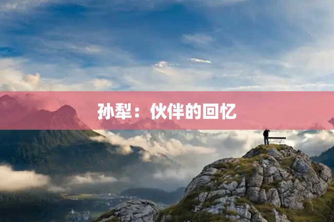 孙犁:伙伴的回忆
