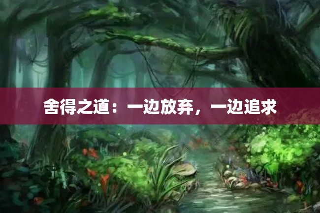 舍得之道:一边放弃,一边追求