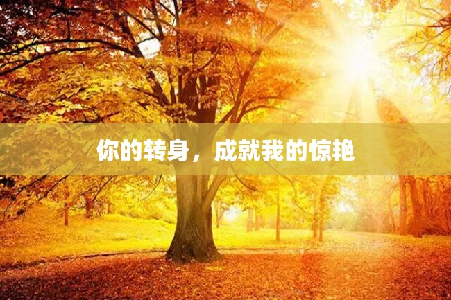 你的转身,成就我的惊艳