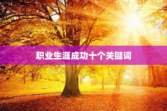 职业生涯成功十个关键词