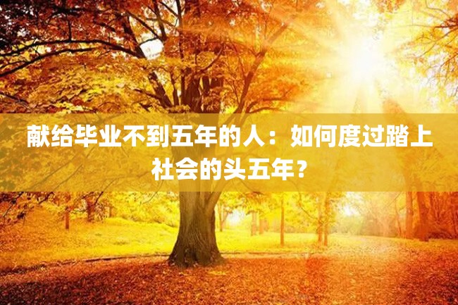 献给毕业不到五年的人：如何度过踏上社会的头五年？