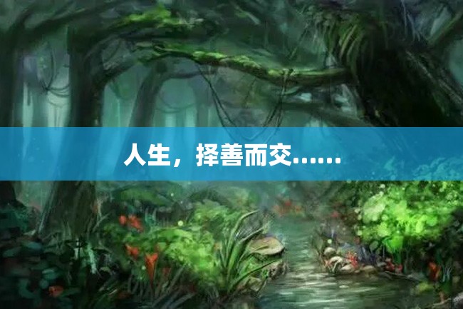 人生,择善而交……