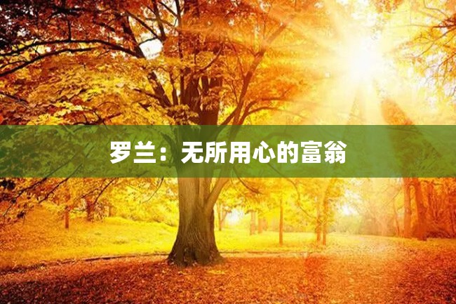 罗兰:无所用心的富翁