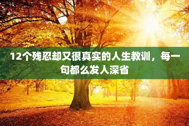 12个残忍却又很真实的人生教训,每一句都么发人深省