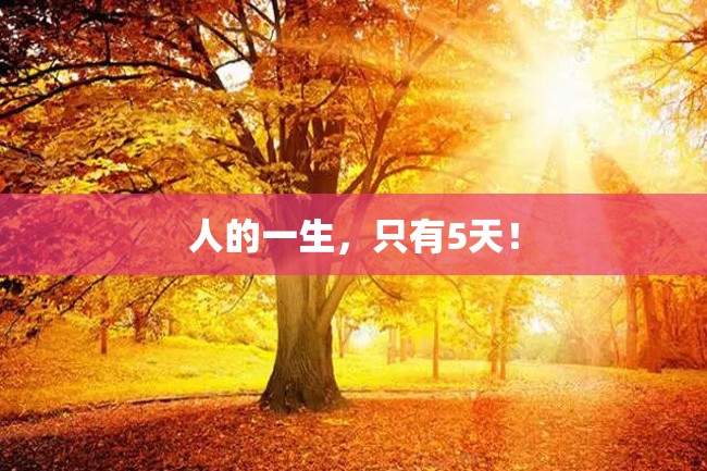 人的一生,只有5天!